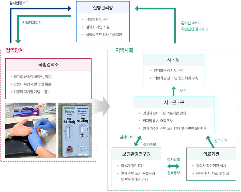 뎅기열 조기발견사업 수행 체계 그래프