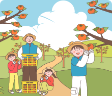 감을 수확하는 모습 일러스트