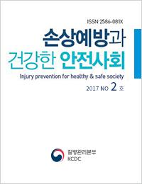 손상예방과 건강한 안전사회 2017년 2호 표지