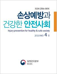 손상예방과 건강한 안전사회 2018년 4호 표지