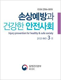 손상예방과 건강한 안전사회 2019년 3호 표지