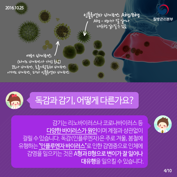 독감(인플루엔자) Q&A 사진4