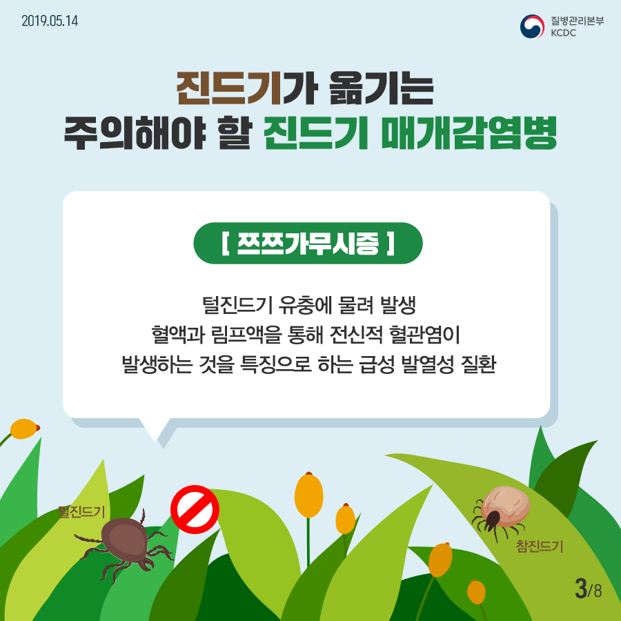 2019년 5월 3일 8페이지 중 3페이지 진드기가 옮기는 주의해야 할 진드기 매개감염병 쯔쯔가무시증 털진드기 유충에 물려 발생 혈액과 림프액을 통해 전신적 혈관염이 발생하는 것을 특징으로 하는 급성 발열성 질환