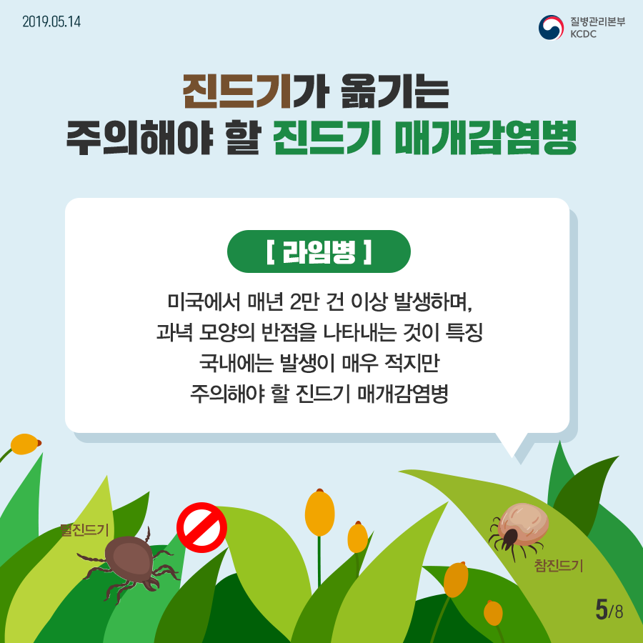 2019년 5월 3일 8페이지 중 5페이지 진드기가 옮기는 주의해야 할 진드기 매개감염병 라임병 미국에서 매년 2만 건 이상 발생하며, 과녁 모양의 반점을 나타내는 것이 특징 국내에는 발생이 매우 적지만 주의해야 할 진드기 매개감염병