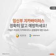 [카드뉴스] 가임기여성의 지카바이러스 감염증에 대한 Q&A 사진8