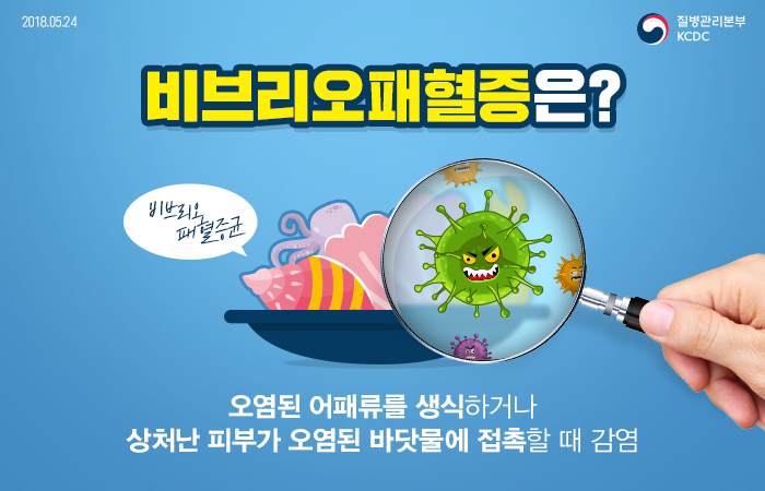 2018년 5월 24일 질병관리본부KCDC. 비브리오패혈증은? 비브리오패혈증균 오염된 어패류를 생식하거나 상처난 피부가 오염된 바닷물에 접촉할 때 감염