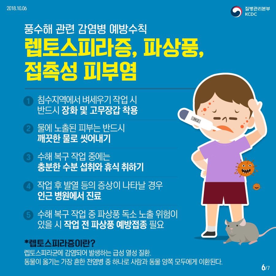 2018년 10월 6일 질병관리본부 KCDC. 풍수해 관련 감염병 예방수칙, 렙토스피라증,파상풍,접촉성 피부염. 1.침수지역에서 벼세우기 작업 시 반드시 장화 및 고무장갑 착용 2.물에 노출된 피부는 반드시 깨끗한 물로 씻어내기 3.수해 복구 작업 중에는 충분한 수분 섭취와 휴식 취하기 4.작업 후 발열 등의 증상이 나타날 경우 인근병원에서 진료 5.수해 복구 작업 중 파상풍 독소 노출 위험이 있을 시 작업 전 파상풍 예방접종 필요. *렙토스피라증이란? 렙토스피라균에 감염되어 발생하는 급성 열성 질환. 동물이 옮기는 가장 흔한 전염병 중 하나로 사람과 동물 양쪽 모두에게 이환된다. 7페이지 중 6페이지