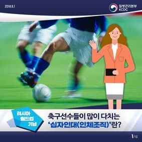 [러시아 월드컵 기념] 축구선수들이 많이 다치는 '십자인대(인체조직)'란? 사진8