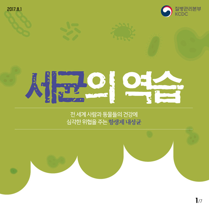 세균의 역습(항생제 내성균) 사진8