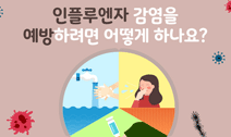 인플루엔자 증상과 예방법 사진6