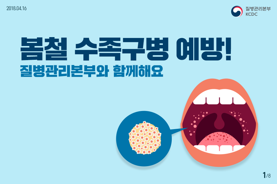 봄철 수족구병 예방! 질병관리본부와 함께해요 사진7