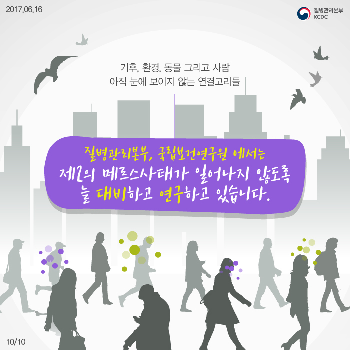 코로나 바이러스 패밀리 사진10