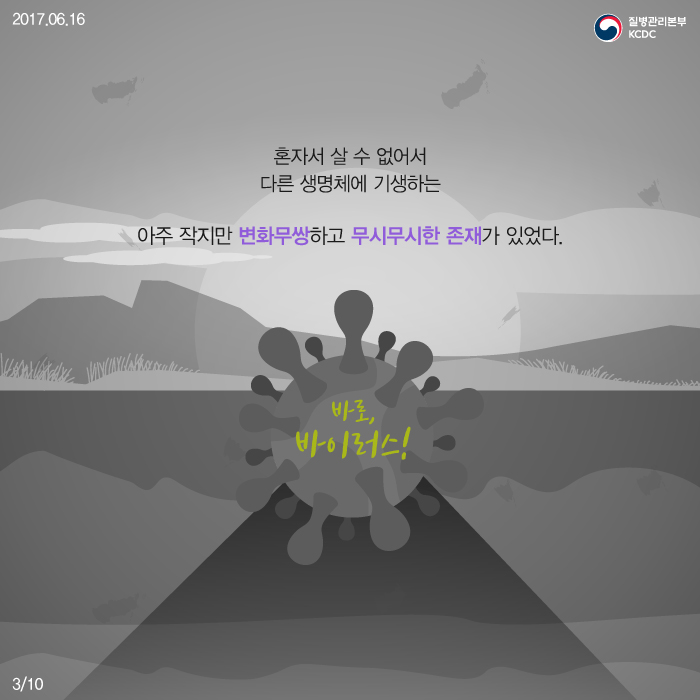 코로나 바이러스 패밀리 사진3