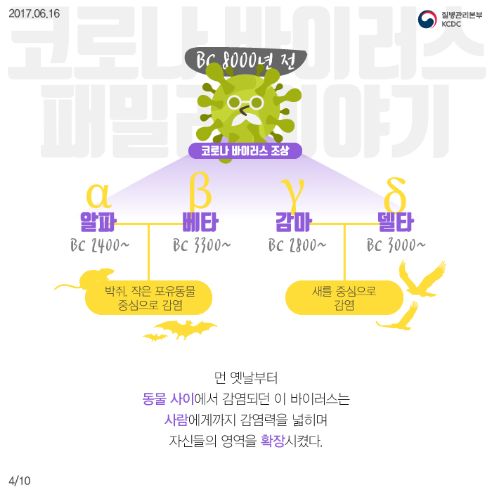 코로나 바이러스 패밀리 사진7