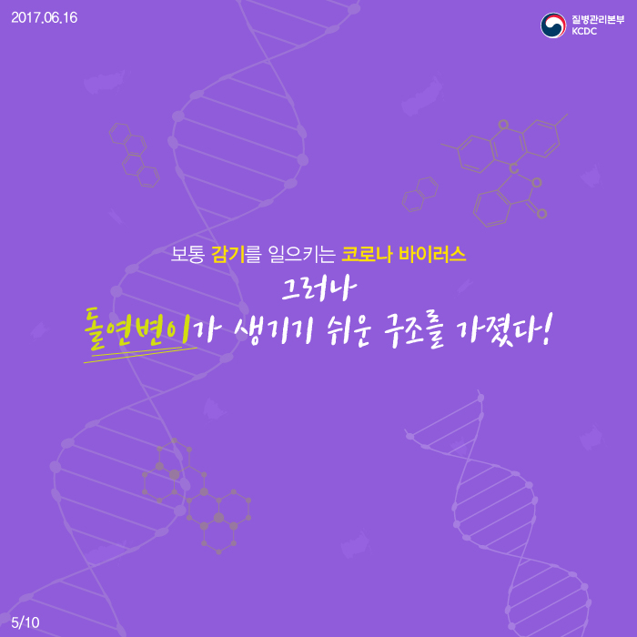 코로나 바이러스 패밀리 사진4