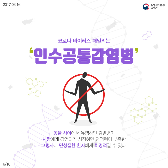 코로나 바이러스 패밀리 사진5