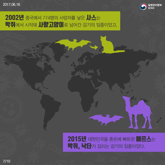 코로나 바이러스 패밀리 사진6