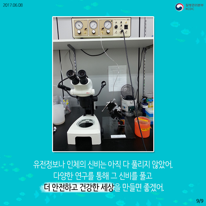 물고기를 연구해서 사람의 질병을 고칠 수 있다고? (제브라피쉬) 사진10