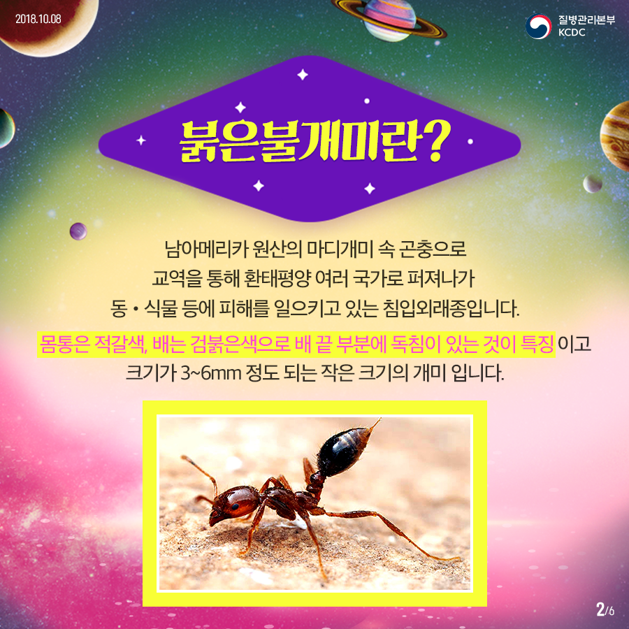 2018년08월24일 질병관리본부KCDC. 붉은불개미란? 남아메리카 원산의 마디개미 속 곤충으로 교역을 통해 환태평양 여러 국가로 퍼져나가 동,식물 등에 피해를 일으키고 있는 침입외래종입니다. 몸통에 적갈색, 배는 검붉은색으로 배 끝 부분에 독침이 있는 것이 특징이고 크기가 3~6mm 정도 되는 작은 크기의 개미입니다. 6페이지 중 2페이지