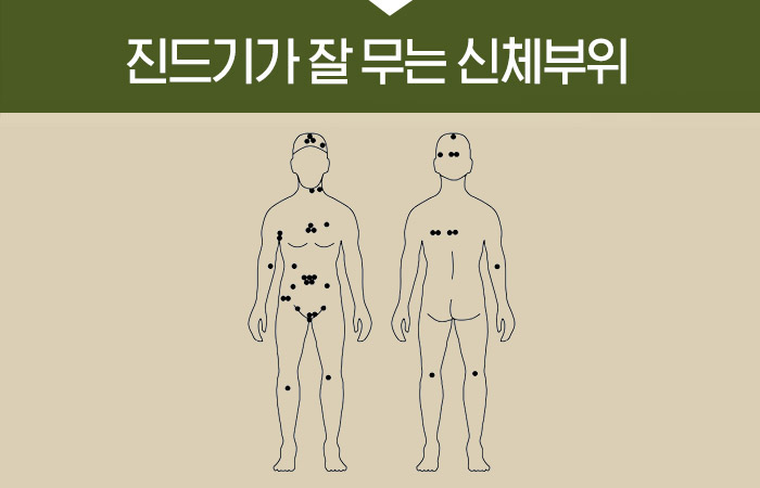 진드기가 잘 무는 신체부위