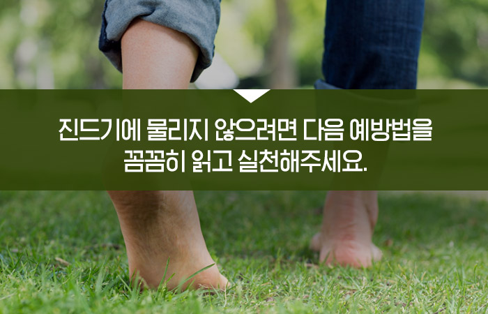 진드기에 물리지 않으려면 다음 예방법을 꼼꼼히 읽고 실천해주세요.