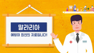 [말라리아] FACT! 예방이 최선의 치료! 사진7