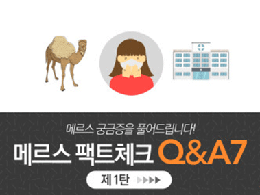 메르스 팩트체크 Q&A 제1탄 사진3