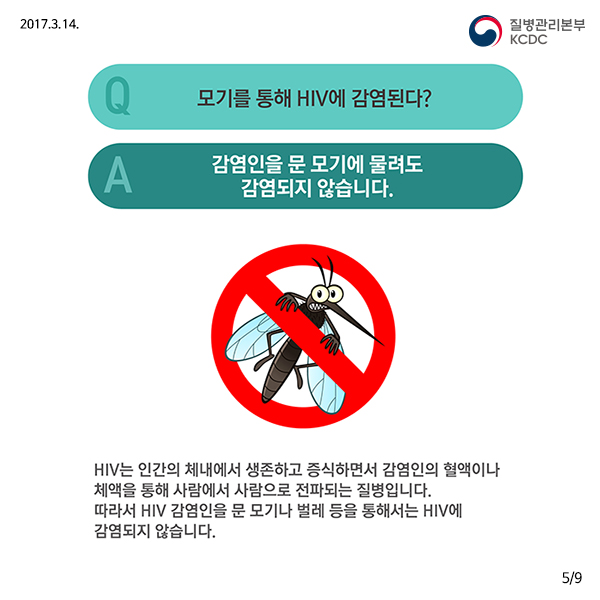 에이즈에 대한 잘못된 상식 바로 알기│에이즈관리과 사진8