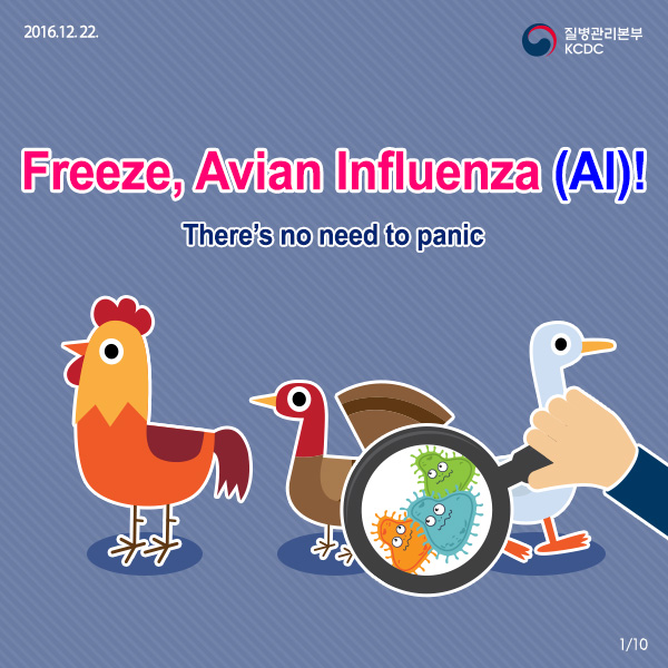 [Card news] Freeze, Avian Influenza(AI)! 사진1