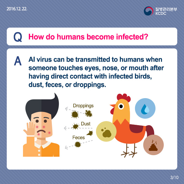 [Card news] Freeze, Avian Influenza(AI)! 사진3