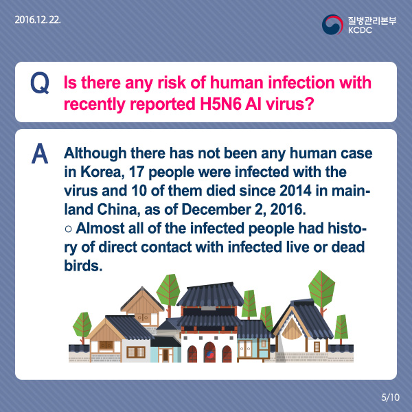 [Card news] Freeze, Avian Influenza(AI)! 사진5