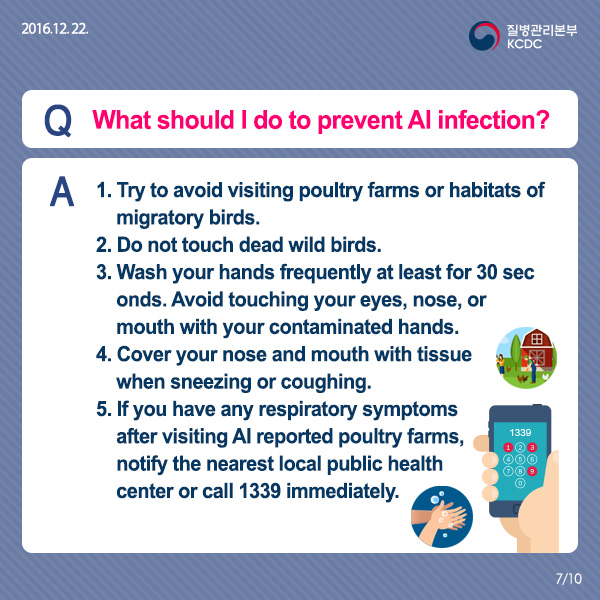 [Card news] Freeze, Avian Influenza(AI)! 사진7