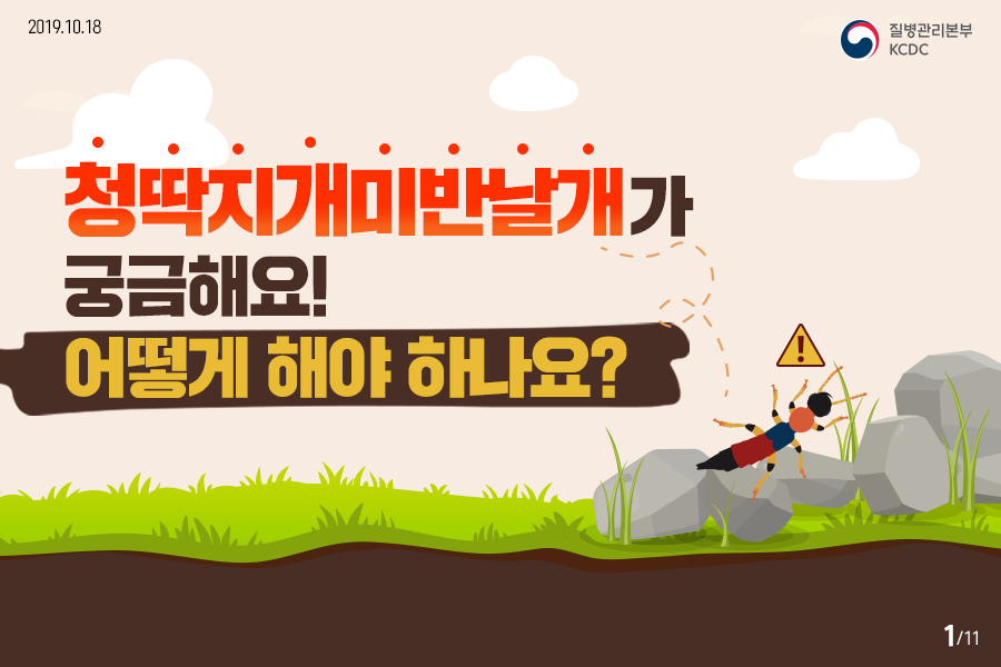 청딱지개미반날개(화상벌레) FAQ