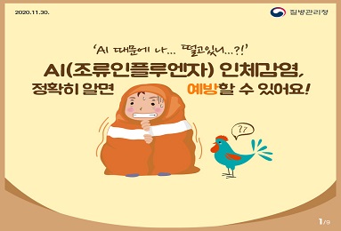 AI(조류인플루엔자) 인체감염, 정확히 알면 예방할 수 있어요!