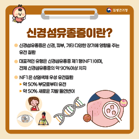 1. 신경섬유종증이란?
- 신경섬유종증은 신경, 피부, 기타 다양한 장기에 영향을 주는 유전 질환
- 대표적인 유형은 신경섬유종증 제1형(NF1)이며, 전체 신경섬유종증의 약 90%이상 차지
- NF1은 상염색체 우성 유전질환
 · 약 50% 부모로부터 유전
 · 약 50% 새로운 자발 돌연변이