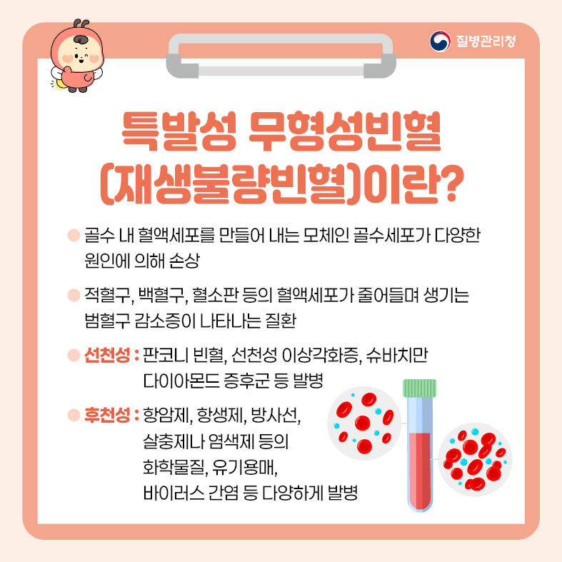 특발성 무형성빈혈(재생불량빈혈)이란?
- 골수 내 혈액세포를 만들어 내는 모체인 골수세포가 다양한 원인에 의해 손상
- 적혈구, 백혈구, 혈소판 등의 혈액세포가 줄어들며 생기는 범혈구 감소증이 나타나는 질환
- 선천성 : 판코니 빈혈, 선천성 이상각화증, 슈바치만 다이아몬드 증후군 등 발병
- 후천성 : 항암제, 항생제, 방사선, 살충제나 염색제 등의 화학물질, 유기용매, 바이러스 간염 등 
           다양하게 발병