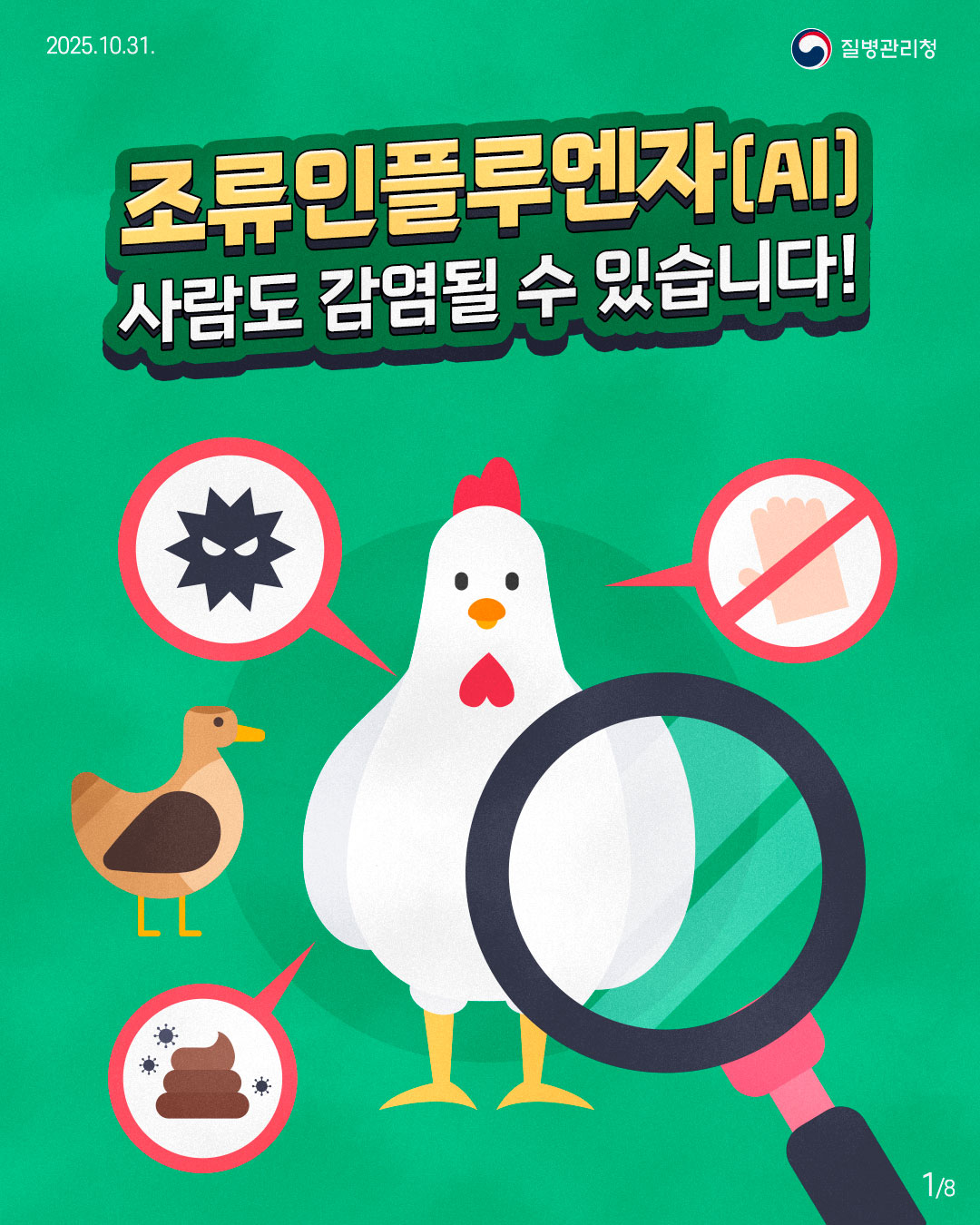 조류인플루엔자(AI), 
사람도 감염될 수 있습니다!