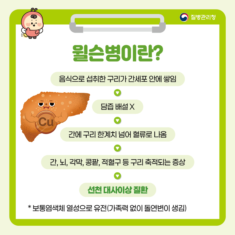 1. 윌슨병이란?
- 음식으로 섭취한 구리가 간세포 안에 쌓임 -> 담즙 배설 X -> 간에 구리 한계치 넘어 혈류로 나옴
  -> 간, 뇌, 각막, 콩팥, 적혈구 등 구리 축적되는 증상 -> 선천 대사이상 질환
* 보통염색체 열성으로 유전(가족력 없이 돌연변이 생김)
