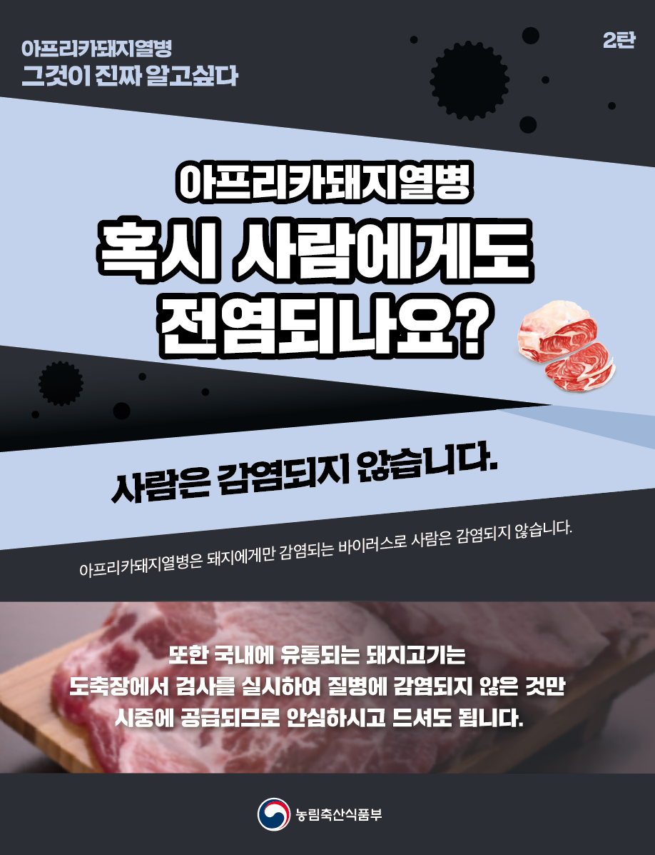 '아프리카돼지열병' 사람에게는 감염되지 않습니다.