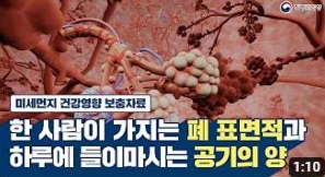 [미세먼지 건강영향 보충자료] 한 사람이 가지는 폐 표면적과 하루에 들이마시는 공기의 양