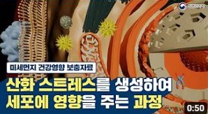 [미세먼지 건강영향 보충자료] 산화 스트레스를 생성하여 세포에 영향을 주는 과정