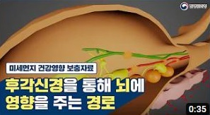 [미세먼지 건강영향 보충자료] 후각신경을 통해 뇌에 영향을 주는 경로