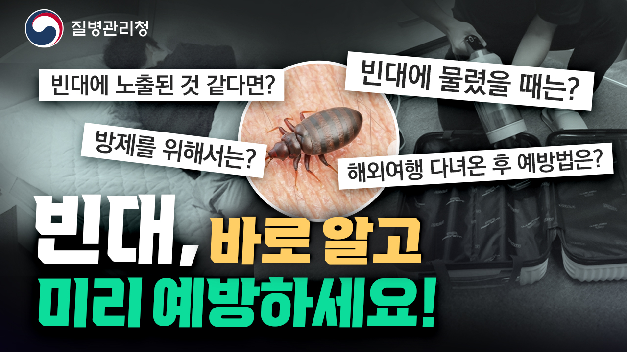 불편한 빈대! 이렇게 대응하세요.