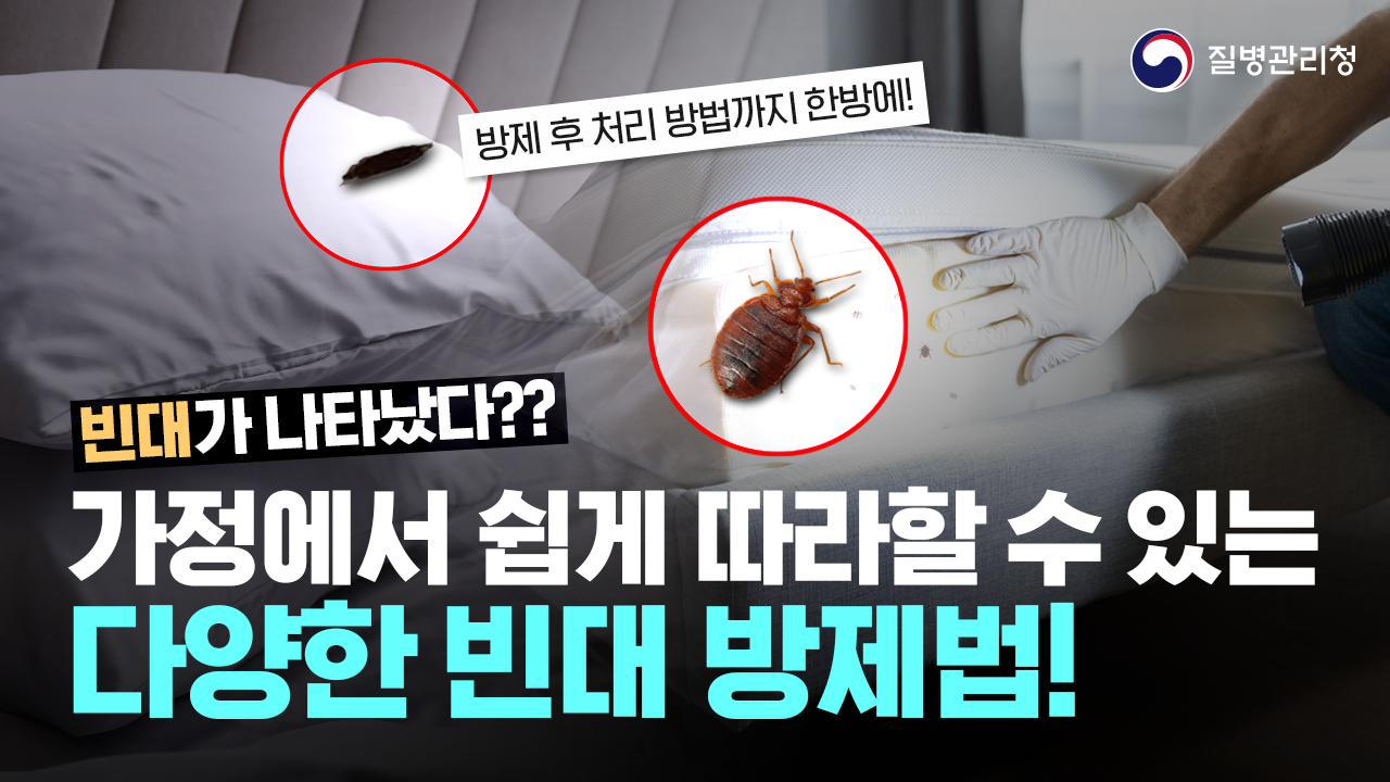 생활 속 빈대 대처방안 괜찮으신가요?