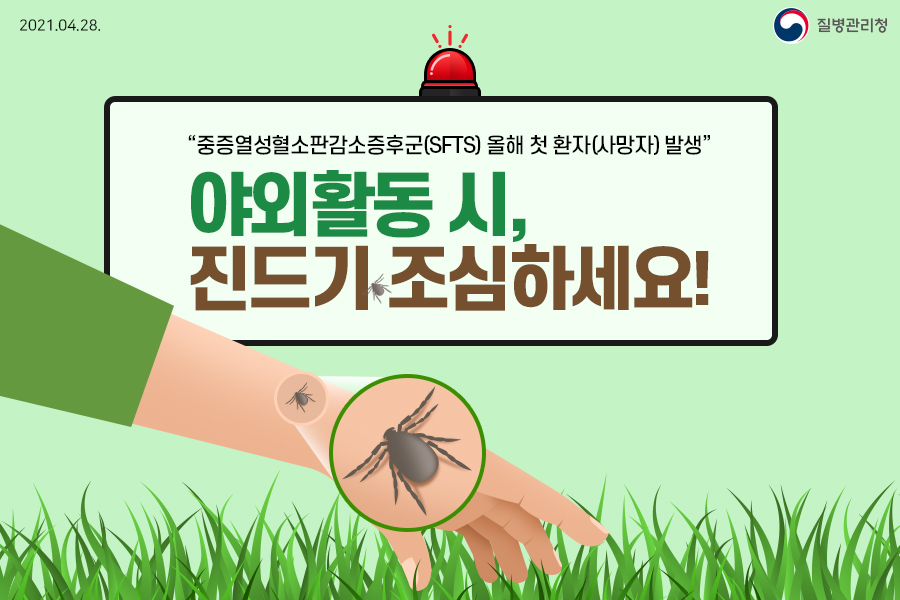 야외활동 시, 진드기 조심하세요! 「중증열성혈소판감소증후군(SFTS)」