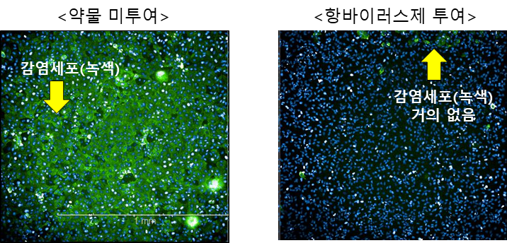 그림입니다. 원본 그림의 이름: CLP000033fc0004.bmp 원본 그림의 크기: 가로 716pixel, 세로 344pixel