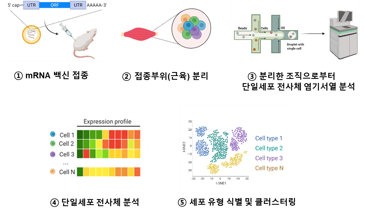 그림입니다. 원본 그림의 이름: image1.png 원본 그림의 크기: 가로 1277pixel, 세로 748pixel