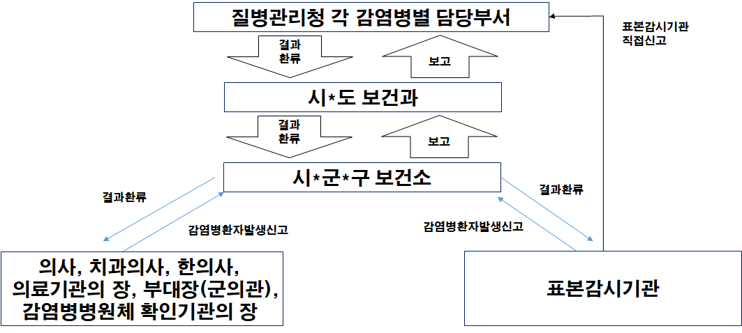 질병관리청 각 감염병별 담당부서 → 결과 환류 → 시 · 도 보건과 → 결과환류 → 시 · 군 · 구 보건소 → 결과환류 → 
의사, 치과의사, 한의사, 의료기관의 장, 부대장(군의관), 감염병병원체 확인기관의 장 → 감염병환자발생신고 →  시 · 군 · 구 보건소 → 결과환류
 → 표본감시관  → 감염병환자발생신고 → 시 · 군 · 구 보건소 → 보고 → 시 · 도 보건과 → 보고 → 질병관리청 각 감염병별 담당부서
표본감시관은 질병관리청 각 감염병별 담당부서에 직접 신고 할 수 있음