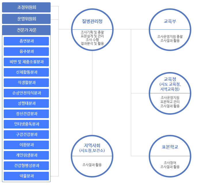 청소년건강행태조사 추진체계(다음 내용 참조)