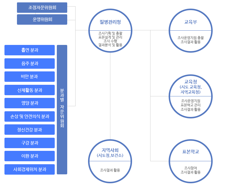 청소년건강행태조사 추진체계(다음 내용 참조)